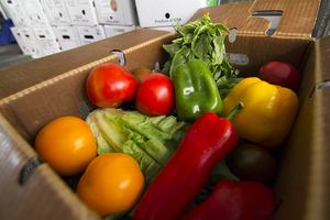 Brainfeeders SU delivers boxes of fresh produce to students. On Thursday they will show students why they should not waste it.